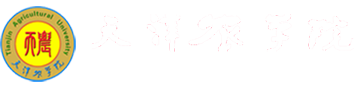 2026世界杯官网